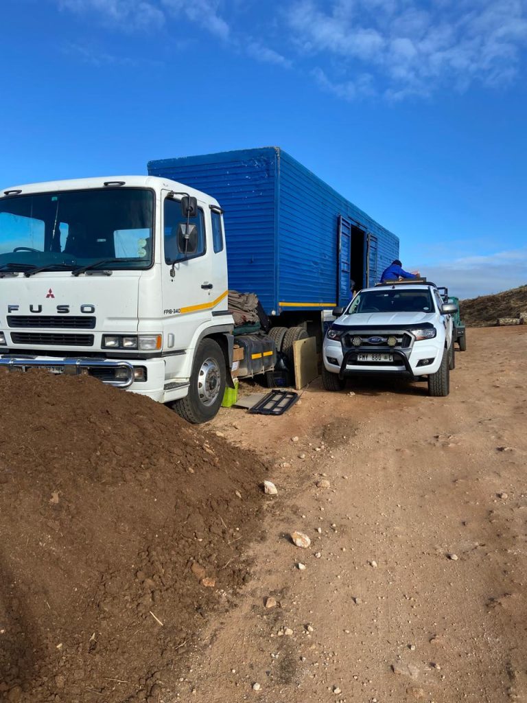 whatsapp image 2025 10 28 at 12.48.47 pm